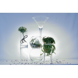Vase martini 60 cm H