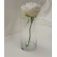 Vase en verre 25 cm 