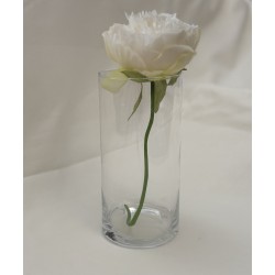 Vase en verre 25 cm 